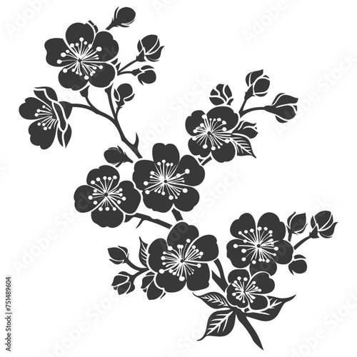 Silhouette Cherry blossoms or sakura flower black color only