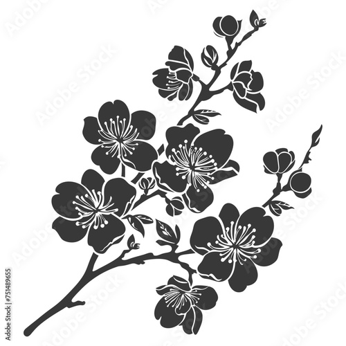 Silhouette Cherry blossoms or sakura flower black color only