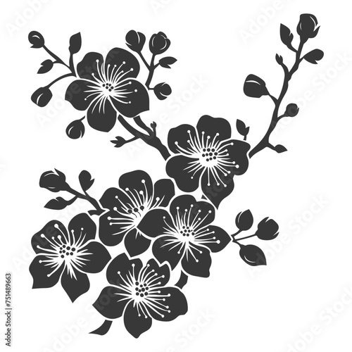 Silhouette Cherry blossoms or sakura flower black color only