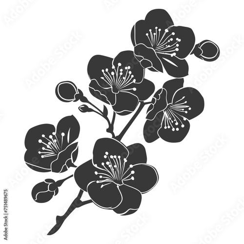 Silhouette Cherry blossoms or sakura flower black color only