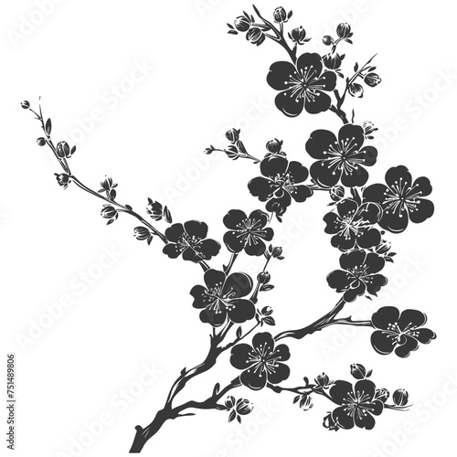 Silhouette Cherry blossoms or sakura flower black color only