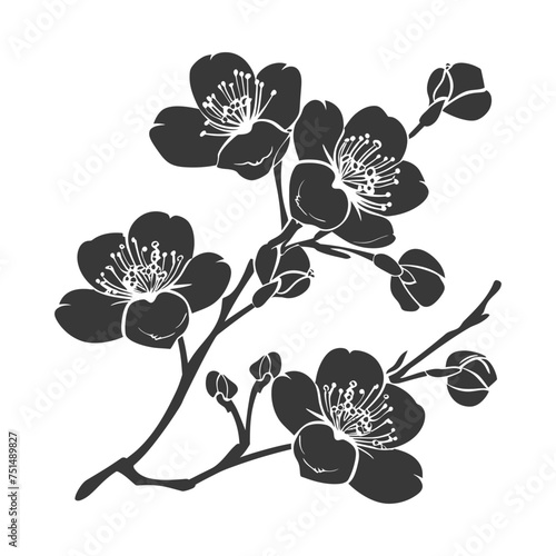 Silhouette Cherry blossoms or sakura flower black color only