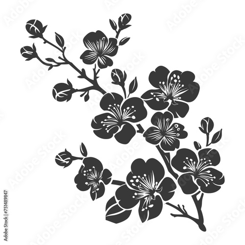 Silhouette Cherry blossoms or sakura flower black color only