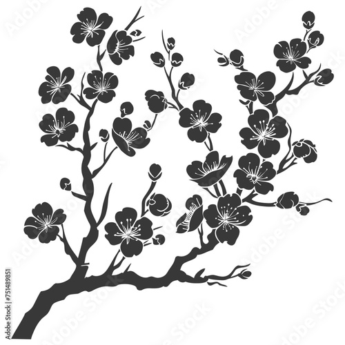 Silhouette Cherry blossoms or sakura flower black color only