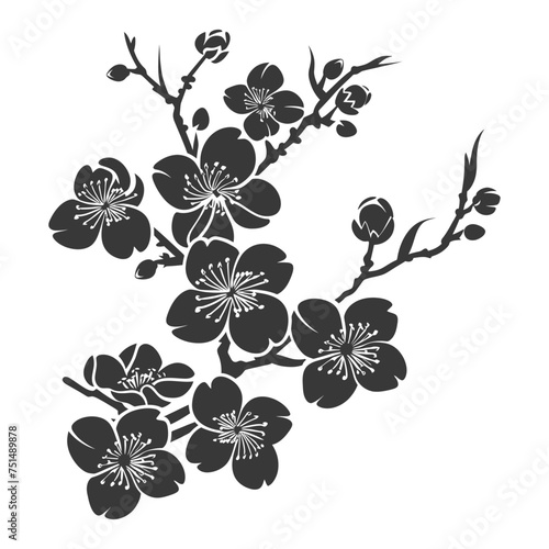 Silhouette Cherry blossoms or sakura flower black color only