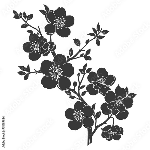 Silhouette Cherry blossoms or sakura flower black color only