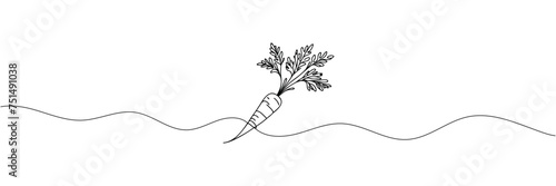 Carrot vegetable in continuous line drawing style isolated on white background. Vector illustration.