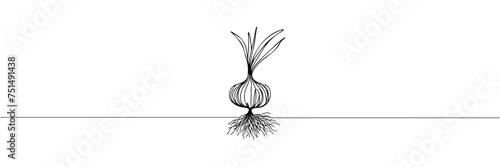 Continuous line onion for grocery store, printing on posters and banners. Vector illustration