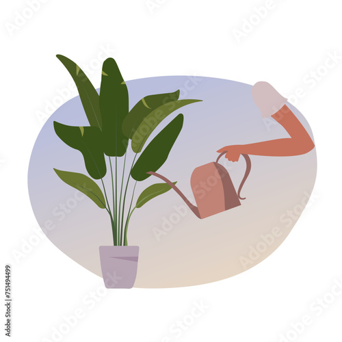 Holding a watering can, watering potted plants, Woman with watering can taking care of houseplants. Home garden, gardening.   flat design Vector. Isolated on white background © Alina