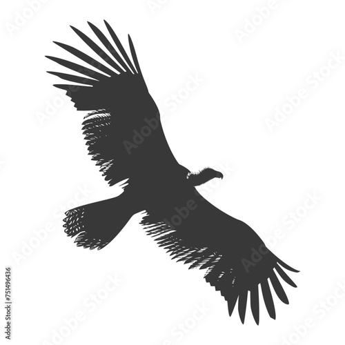 Silhouette vulture bird animal fly black color only