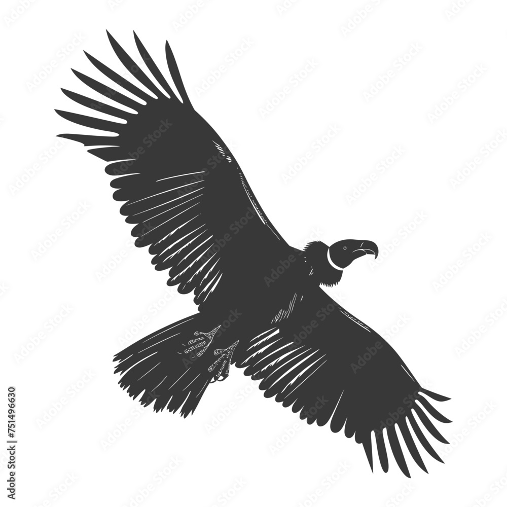 Silhouette vulture bird animal fly black color only Silhouette vulture bird animal fly black color only