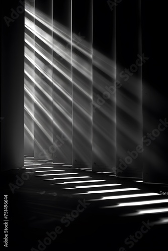 rays of light in a black and white image