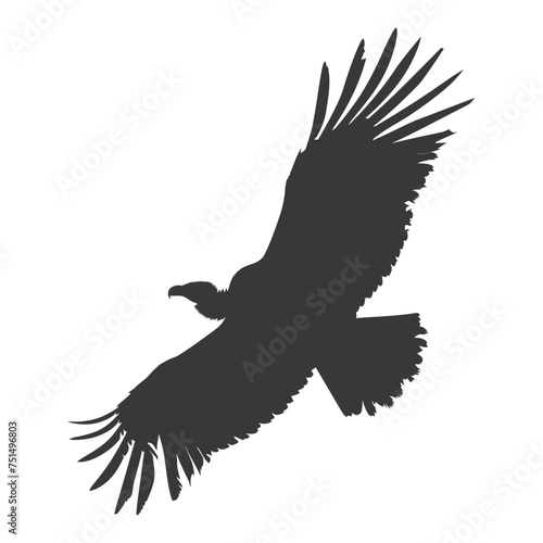 Silhouette vulture bird animal fly black color only