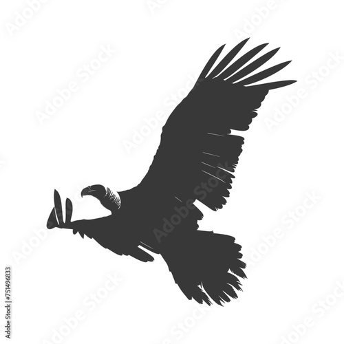 Silhouette vulture bird animal fly black color only