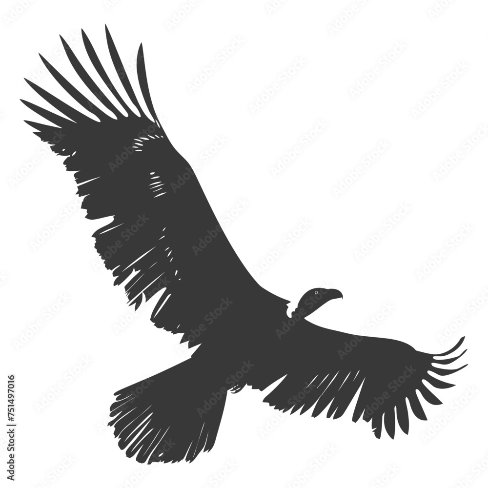Obraz premium Silhouette vulture bird animal fly black color only