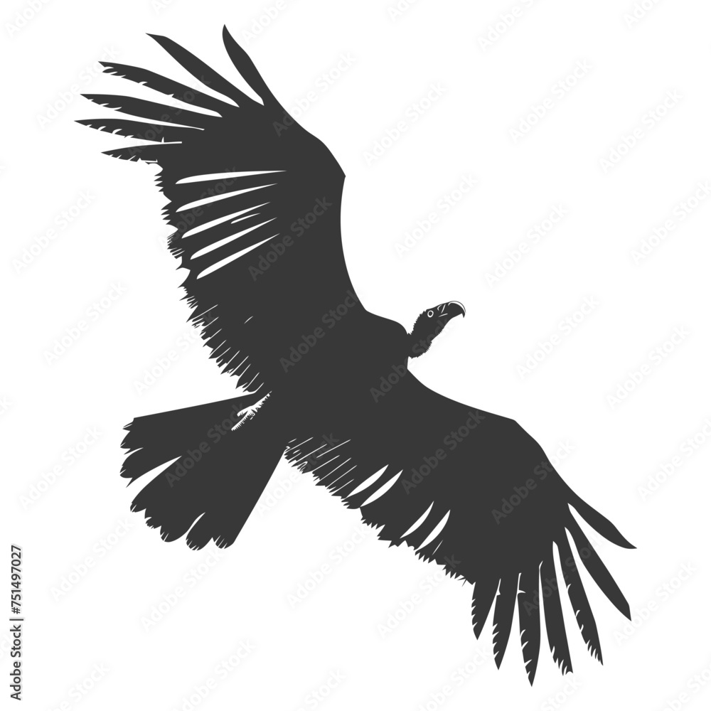 Silhouette vulture bird animal fly black color only Silhouette vulture bird animal fly black color only