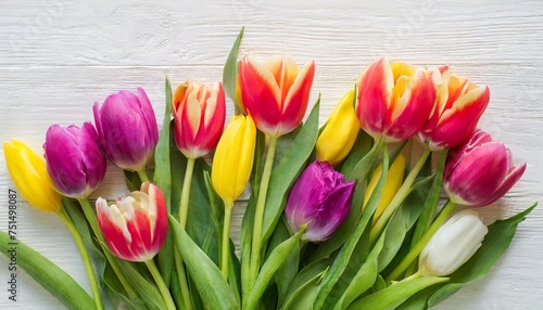 colorful tulips on white background