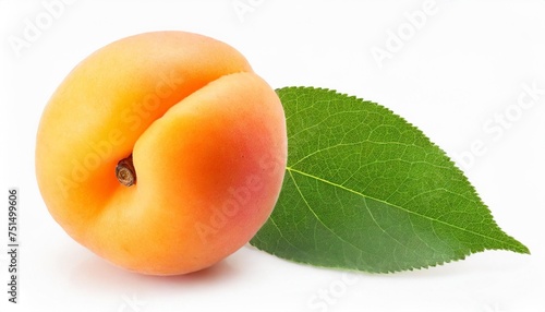single fresh apricot with a green leaf isolated on white background