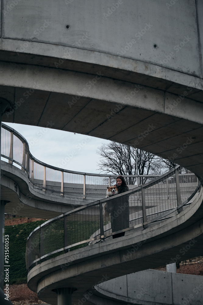 Fototapeta premium A young woman poses with a dog standing on a beautiful architectural bridge in the center of Belgrade on the embankment. Female owner with red welsh corgi Pembroke, urban lifestyle.
