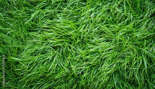 artificial grass background