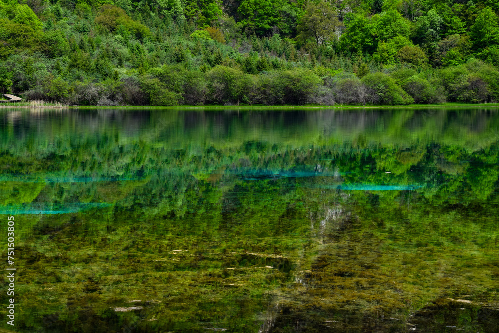 Jiuzhai Valley National Park Summer View in Sichuan Province, China Jiuzhai Valley National Park Summer View in Sichuan Province, China