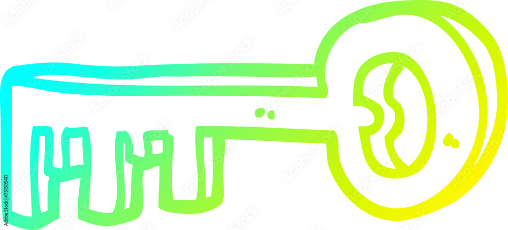Fototapeta premium cold gradient line drawing cartoon metal key
