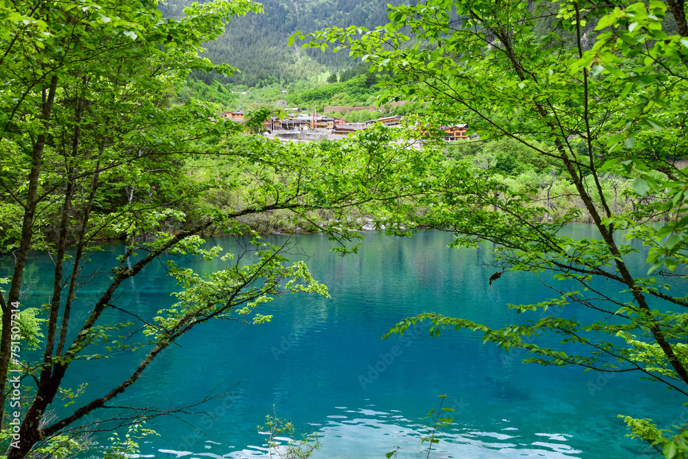 Jiuzhai Valley National Park Summer View in Sichuan Province, China Jiuzhai Valley National Park Summer View in Sichuan Province, China