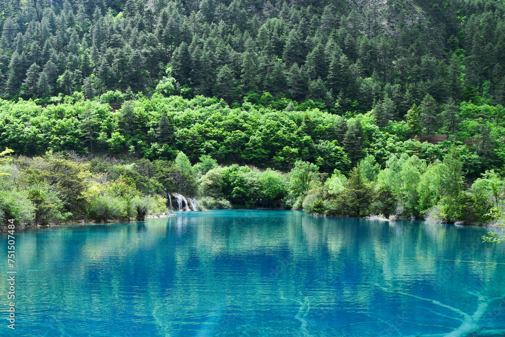 Jiuzhai Valley National Park Summer View in Sichuan Province, China Jiuzhai Valley National Park Summer View in Sichuan Province, China