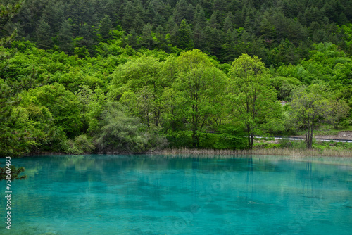 Jiuzhai Valley National Park Summer View in Sichuan Province  China