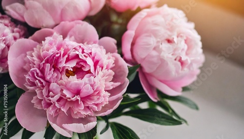 close up of flowers pink peonies beautiful peony flower for catalog or online store floral shop concept beautiful fresh cut bouquet flowers delivery