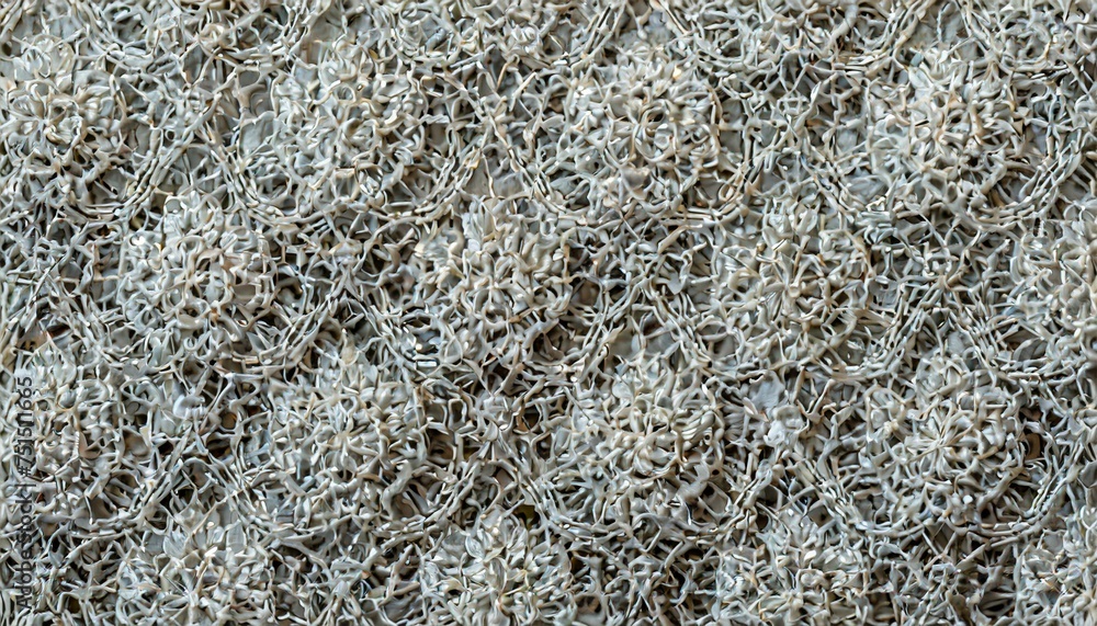 A textured background resembling the delicate and intricate patterns A textured background resembling the delicate and intricate patterns