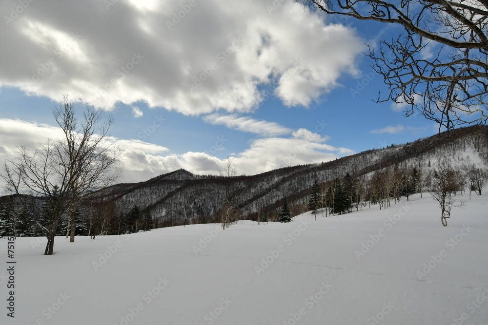 Snow landscape in Hokkaido hills near Biei Japan Nature beauty