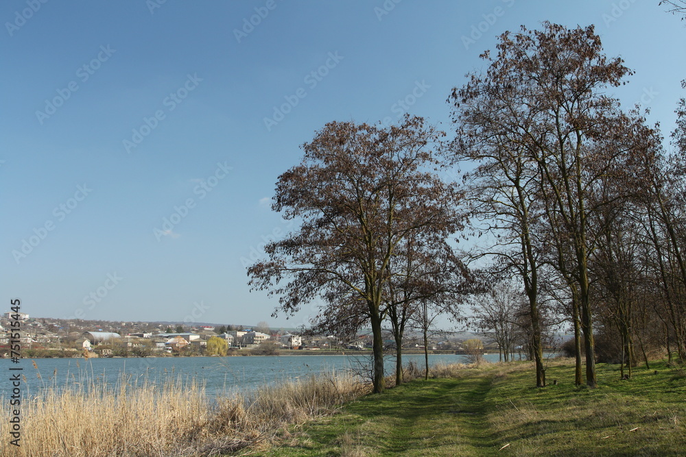 A grassy area with trees and water in the background