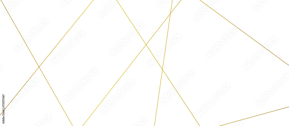 Random chaotic lines abstract geometric pattern. vector textrue 3d illustration. geometric design created using light gold digital net web line tecnology. white color in backdrop. Random chaotic lines abstract geometric pattern. vector textrue 3d illustration. geometric design created using light gold digital net web line tecnology. white color in backdrop.