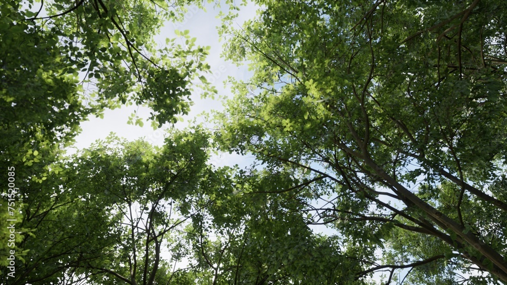 Fototapeta premium 3D RENDER GREEN FOREST NATURE LANDSCAPE