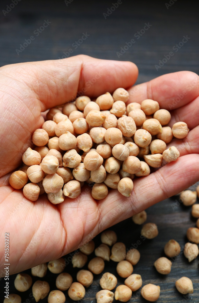 Heap of Dried Chickpeas in Hands, an Excellent Source of Plant Protein Heap of Dried Chickpeas in Hands, an Excellent Source of Plant Protein