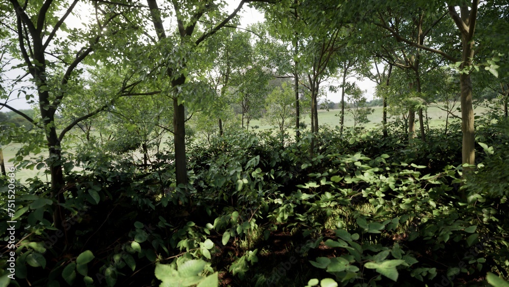 3D RENDER GREEN FOREST NATURE LANDSCAPE 3D RENDER GREEN FOREST NATURE LANDSCAPE
