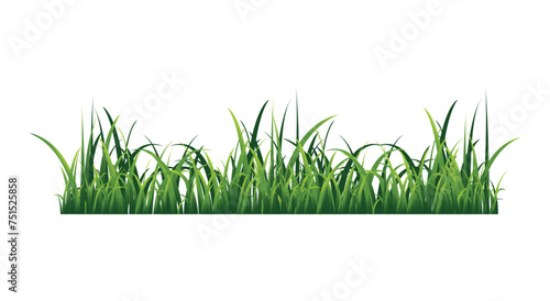 Green grass. Vector illustration isolated on white background