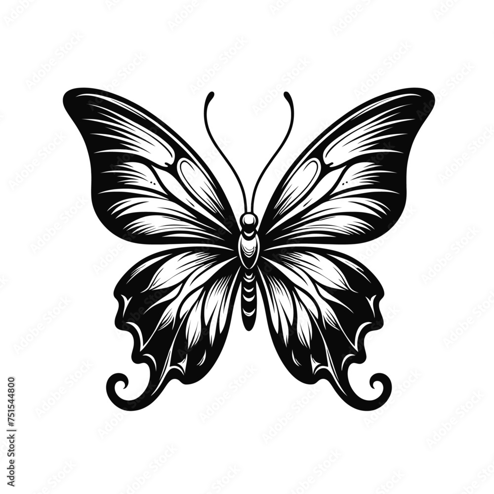 Beautiful monochrome butterfly isolated vector illustration Beautiful monochrome butterfly isolated vector illustration