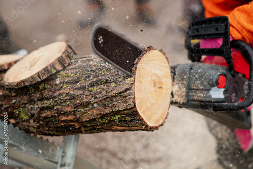 Electrical chainsaw sawing on fresh wood by professional arborist