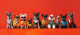Group of dogs in red winter jackets and sunglasses on a red background.