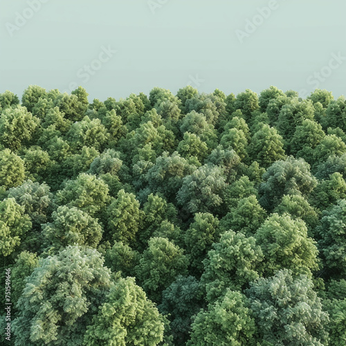 Green forest isolated on background. 3d rendering - illustration copy space, --no Text --iw 2 --v 6 Job ID: c11bf748-a7a8-4146-a071-bb0f1d848c81
