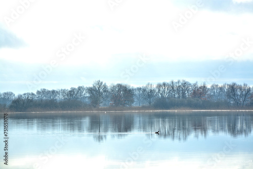 Beetzsee mit Wasservogel