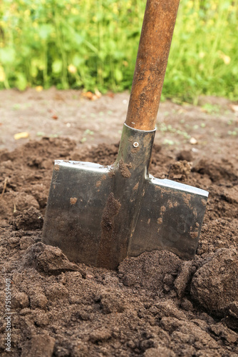 Brown soil ground with grass and shovel close up in garden. Organic farming, gardening, growing, agriculture concept