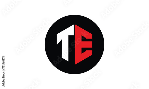 TE initial letter polygon icon gaming logo design vector template. batman logo, sports logo, monogram, falcon, war game, symbol, playing logo, abstract, fighting, typography, icon, minimal, premier 