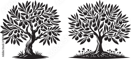 olive grove serenity, black vector illustration of graceful olive trees laser cutting engraving photo