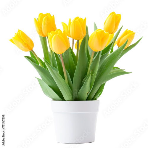 A white vase with yellow flowers in it Isolated on transparent background, PNG