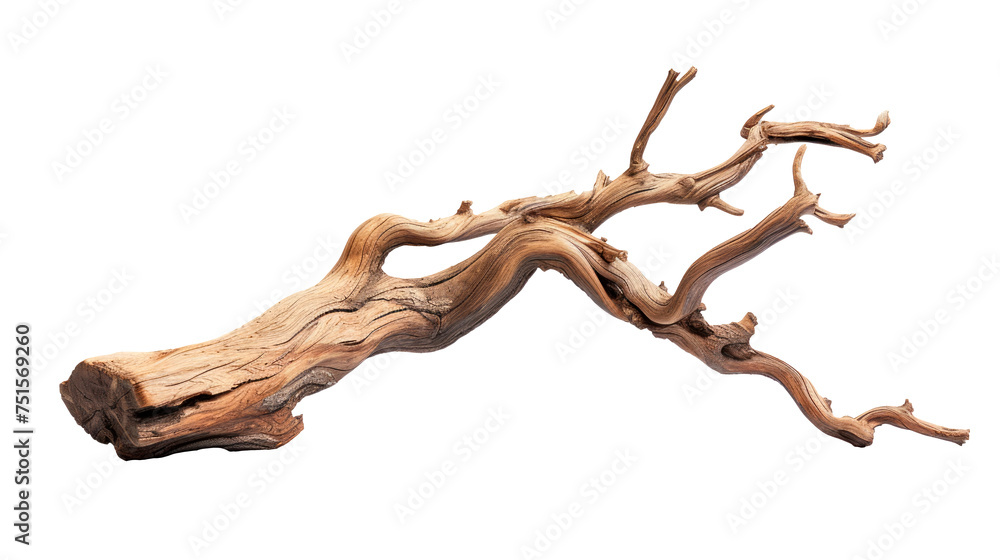 A long, thin branch with a few small holes in it Isolated on transparent background, PNG A long, thin branch with a few small holes in it Isolated on transparent background, PNG