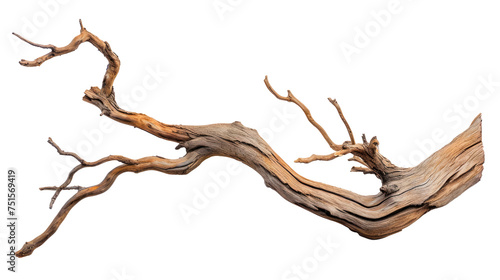 A long, thin branch with a few small holes in it Isolated on transparent background, PNG