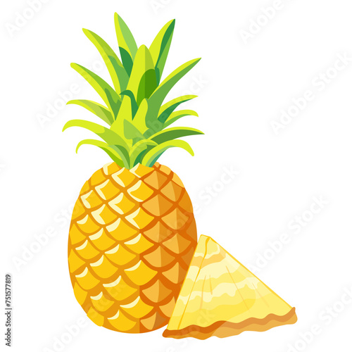 Vector image of whole pineapple and slice on isolated white background. Tropical fruit. Ripe and tasty product.